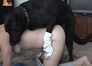 Dog's tongue sending her over the edge