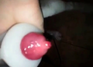 Dog jizz is the best thing ever