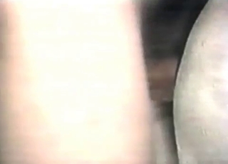 Hardcore penetration with an animal