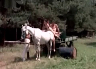 Sexy stallion fucked by a horny dude