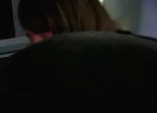 Seductive dog gets a blowjob from the owner