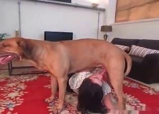 Beautiful chick fucks a horny dog